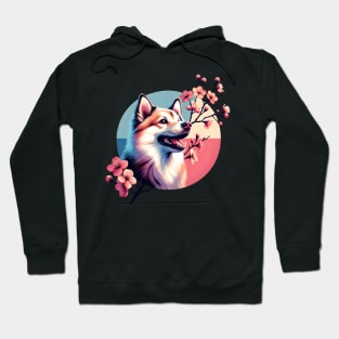 Norwegian Buhund's Joyful Spring Cherry Blossom Moment Hoodie